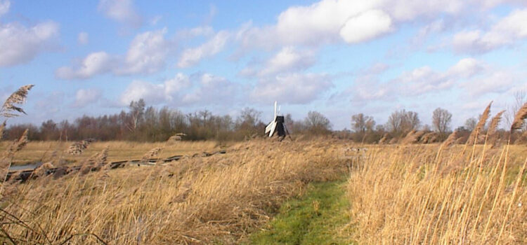 PhD opportunity to explore climate change through the Museum of Cambridge’s Fenland collection